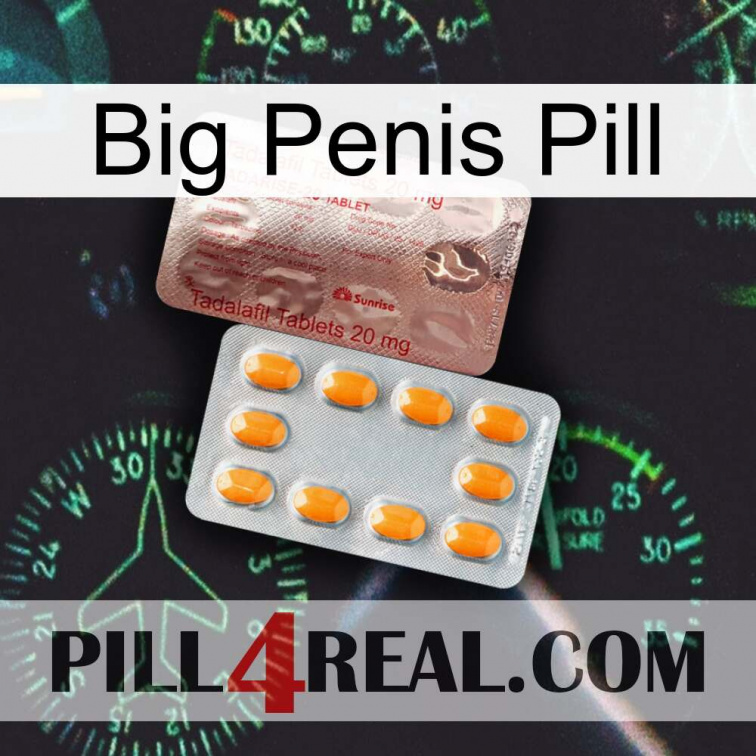 Big Penis Pill new13